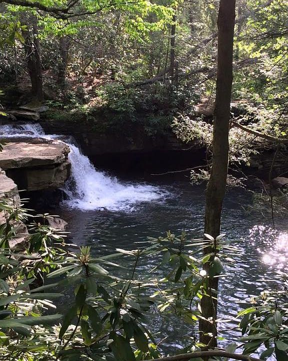 2nd image of 1924 Hominy Falls Rd