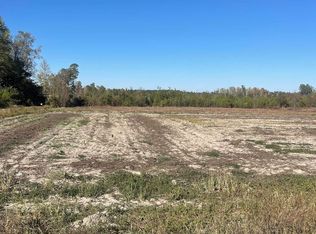 Joyner Swamp Rd LOT 1, Galivants Ferry, SC 29544