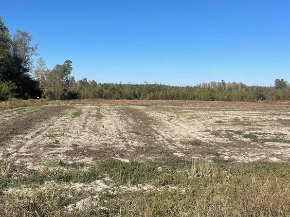 Tbd Joyner Swamp Rd. Lot 1, Galivants Ferry, SC 29544