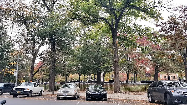 Rented by Urban Pads | media 2