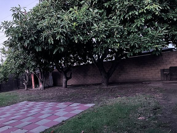 Large backyard with mature fruit trees