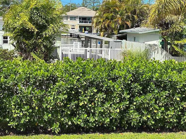 240 Georgia Ave — Photo 12