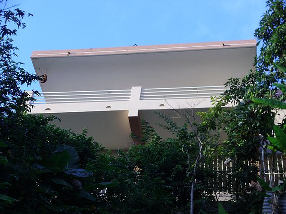 Back view
