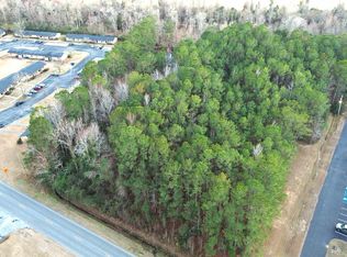 TBD Highway 9 Business W, Loris, SC 29569