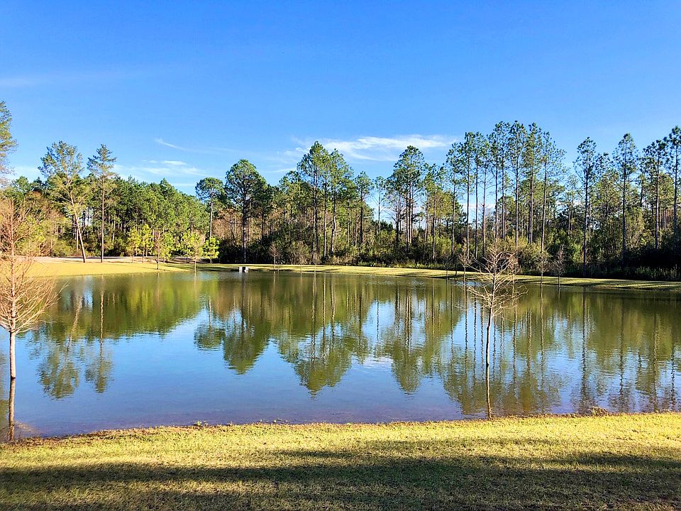 View Behind Future Model Home