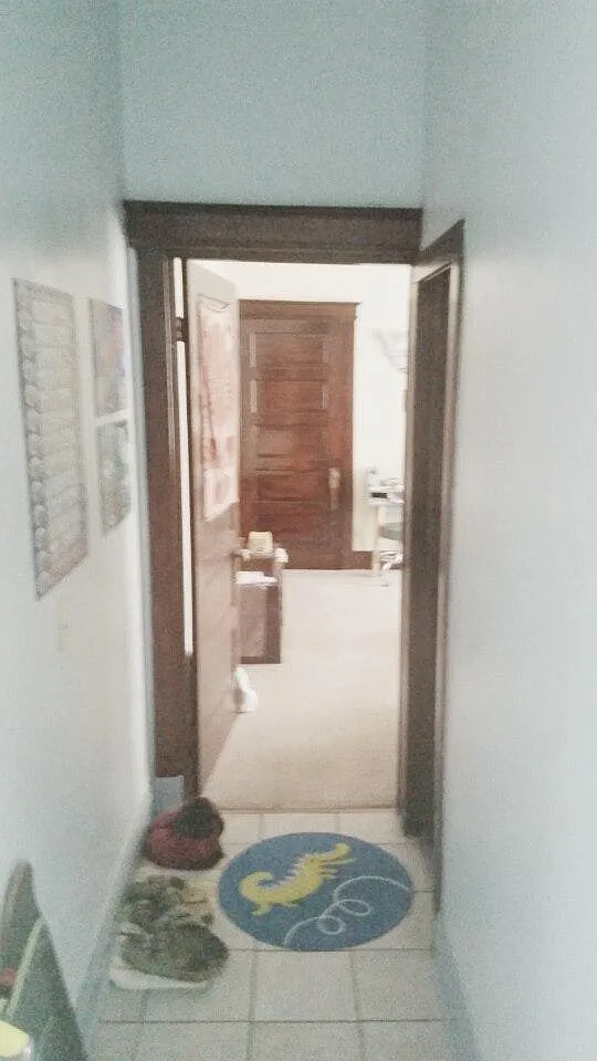 Hallway - 2331 Wheeler St #1