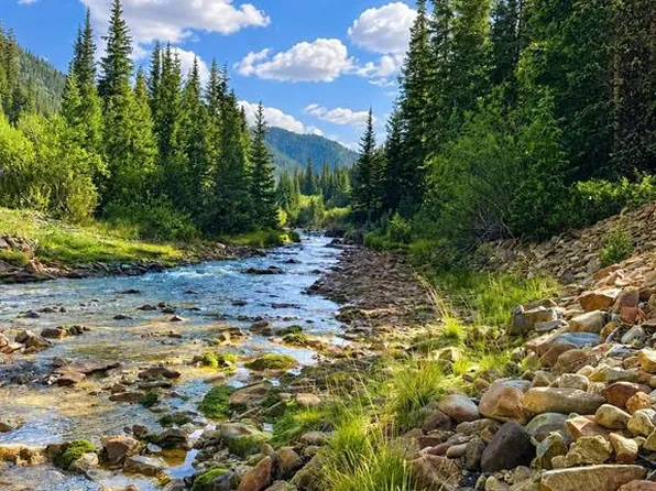 4900 County Road 110, Silverton, CO 81433
