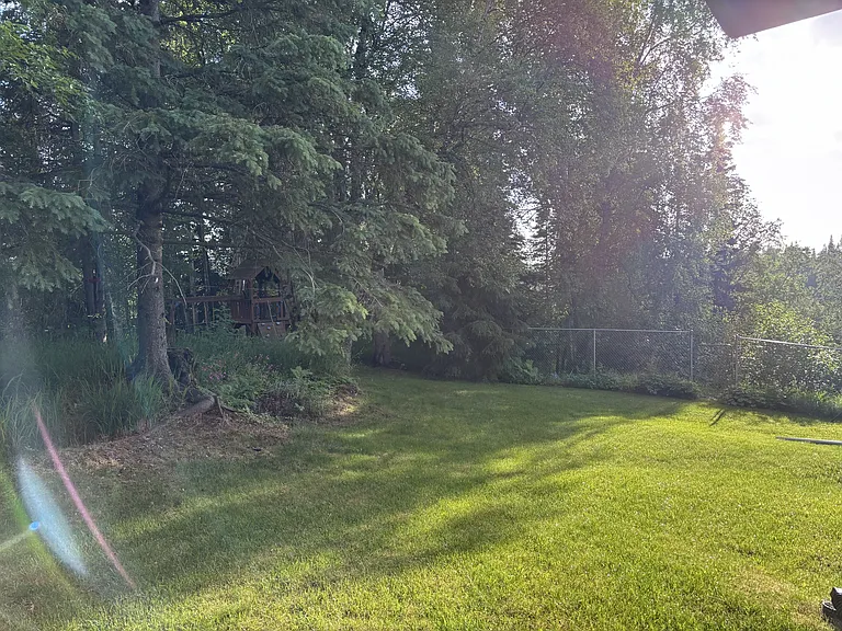 9988 Main Tree Dr — Photo 22