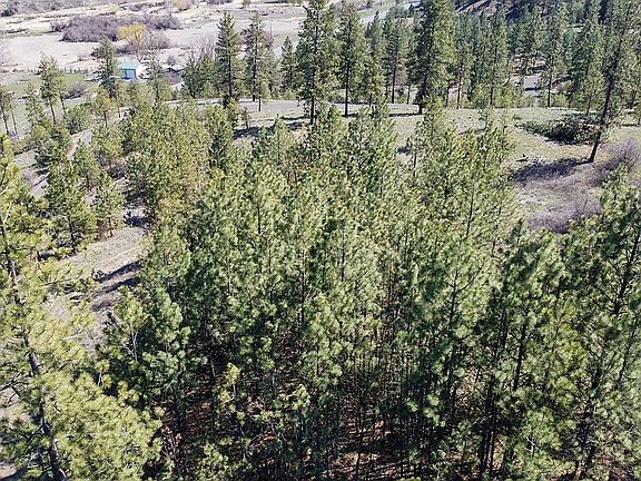4th image of 35655 Spruce Grouse Ln N