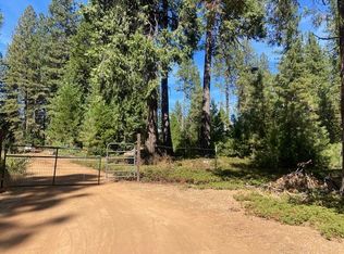 27597 State Highway 88, Pioneer, CA 95666