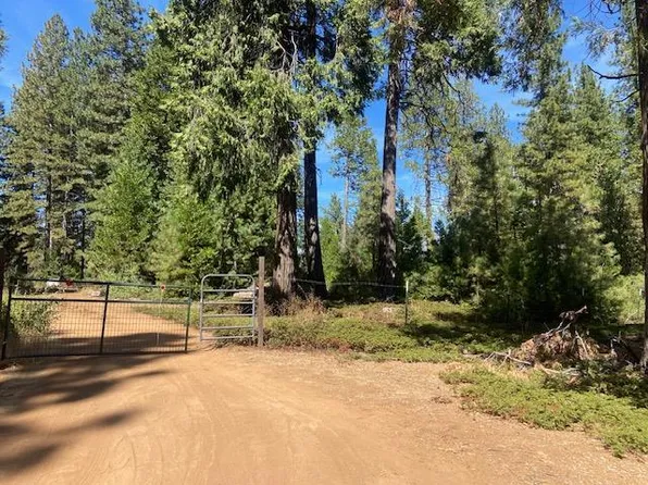 27597 State Highway 88, Pioneer, CA 95666