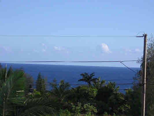 1st image of Kulainu Lot 100