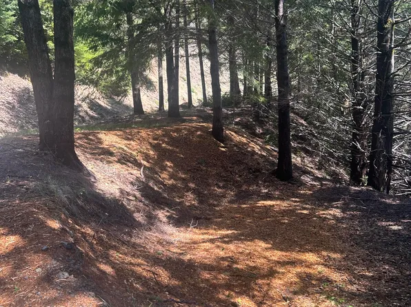 960 Blueridge Rd, Whitethorn, CA 95589