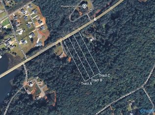 TRACT B14 Highway 79 S, Scottsboro, AL 35769