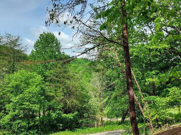 7914 Brimstone Rd, Robbins, TN 37852