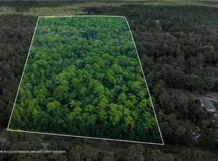 Smith Ln NE, Townsend, GA 31331