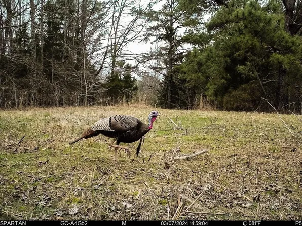 Bateman Rd, Moscow, TN 38057