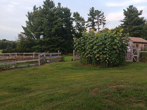 5th image of 24590 N Fossum Rd