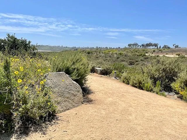2536 Orange Ave #A4 — Photo 31