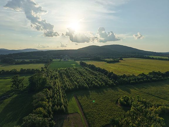 Dji Fly 20260813 182928 0035 1786668575805 Photo