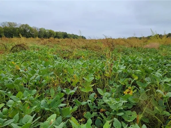 0 Ungeheuer Rd, Prescott, KS 66767