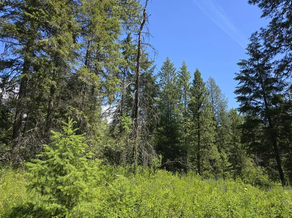 Kingsbury Lake Way, Kettle Falls, WA 99141