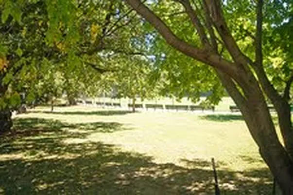 Rented by Link NY Realty | media 108