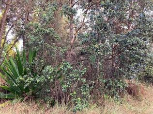 Lehua Ln LOT 27, Ocean View, HI 96737