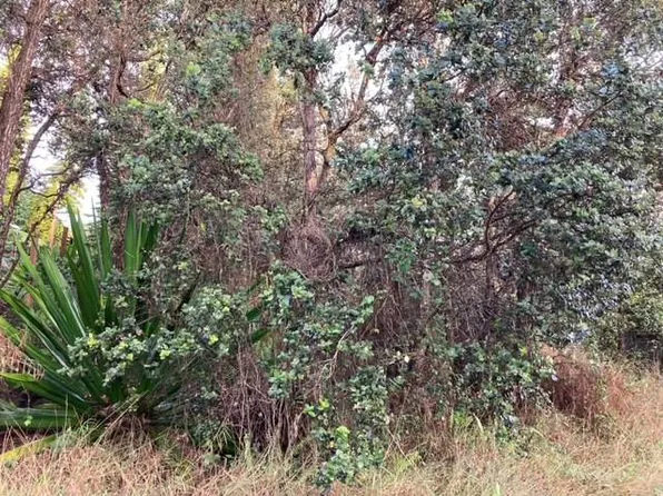 Lehua Ln Lot 27, Ocean View, HI 96737