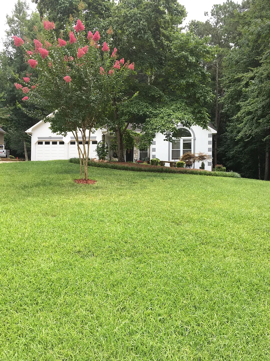 50 Davis Ct photo 1