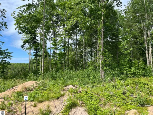Hoosier Flats Rd Lot C, Traverse City, MI 49685