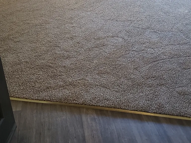 Entrance to Living room