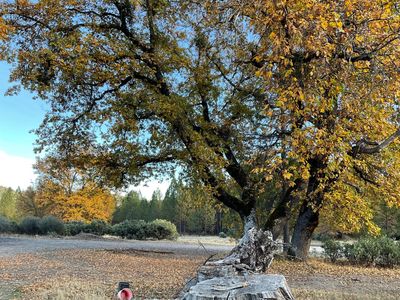 0 Banner Rd, Mountain Ranch, CA, 95246