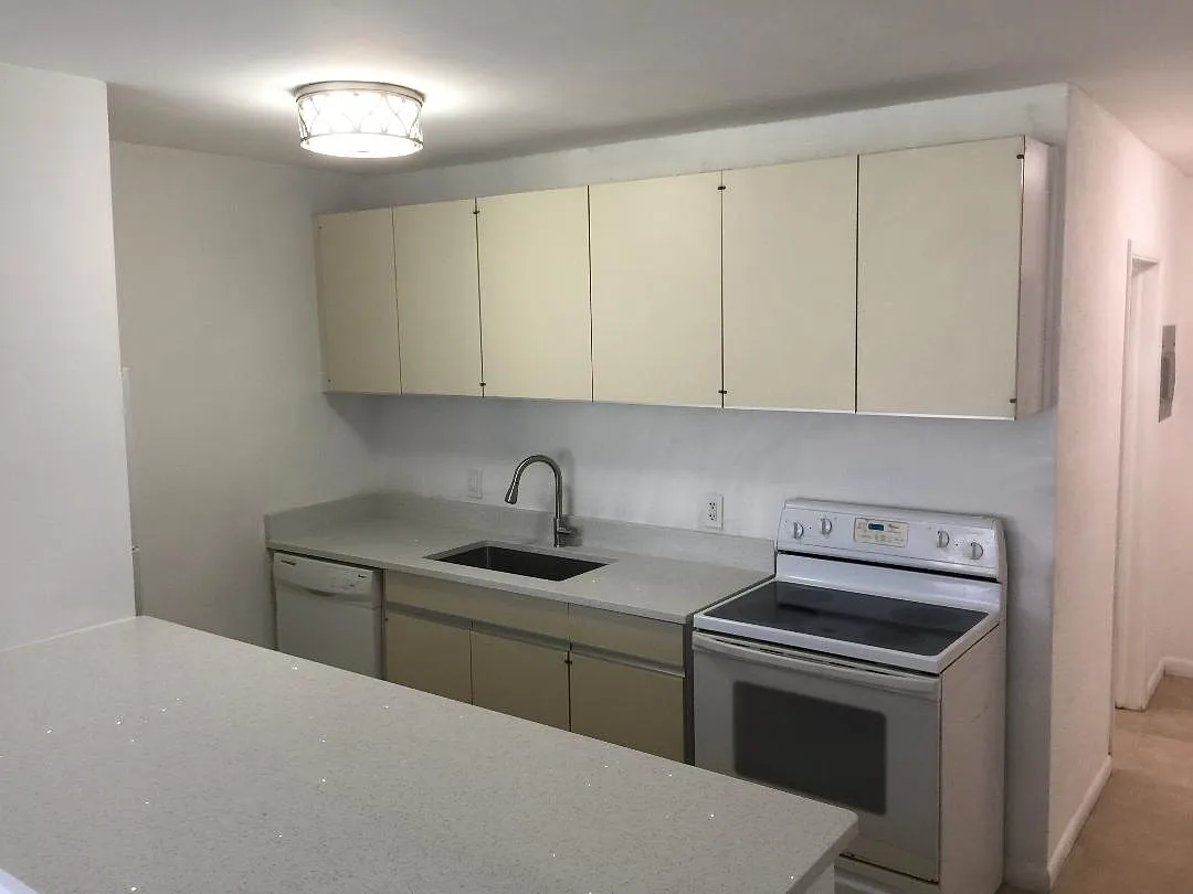 quartz countertops, deep sink and dishwasher - 3535 NW 3rd Ave #6