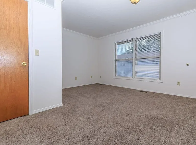 Plush Carpeting Greets You