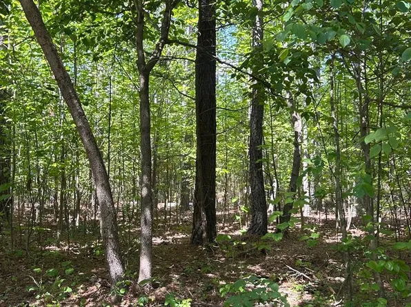 1 Foxfire Ln, Bedford, VA 24523