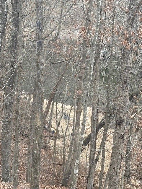 2nd image of Winstone Ln #39