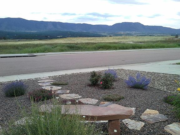 Photo front yard view