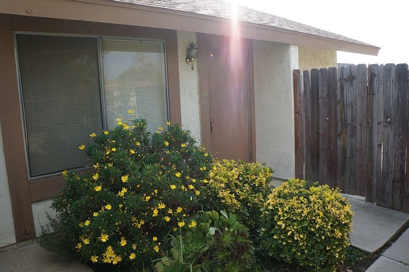 front yard/entry