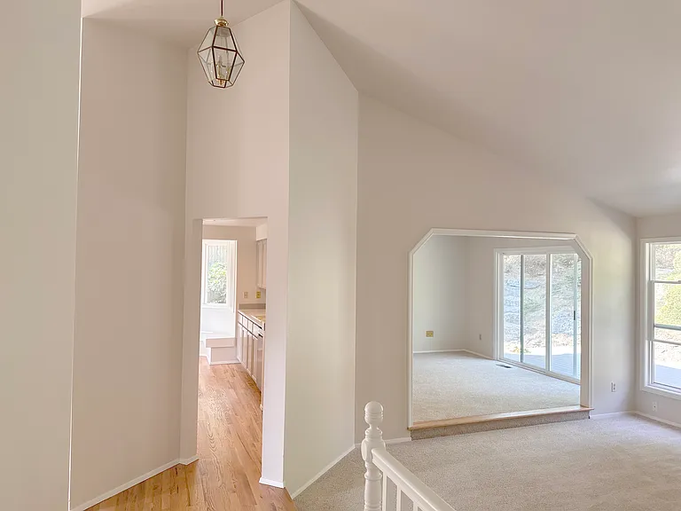 Living room Vaulted Ceiling