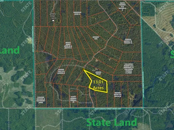 5883 Dowler Dr, Houghton Lake, MI 48629