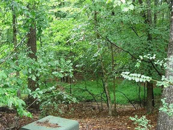 A creek at the bottom of the hill.