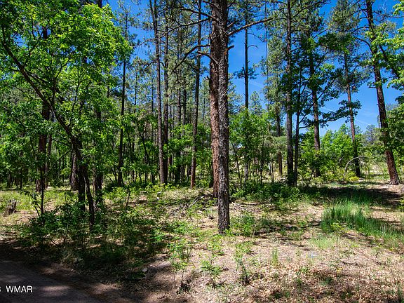 2nd image of 13 County Road 2122 N