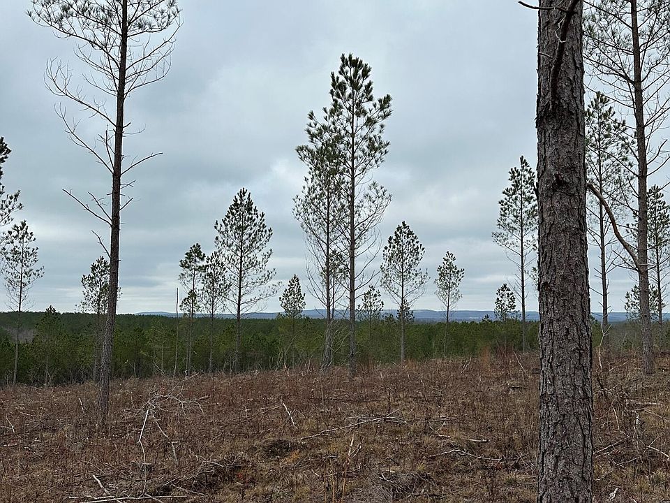 2nd image of 24 Thomas Springs Rd