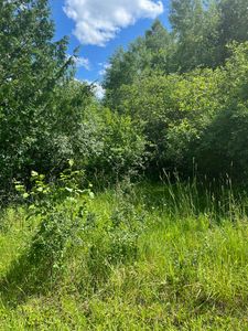 V/l 180ac North St #7, Onaway, MI, 49765