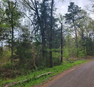 Woodchuck Rd, Leesburg, TX, 75451