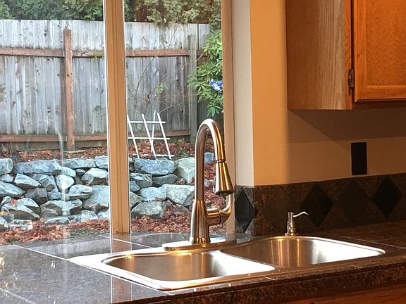 Kitchen window view to rear yard.