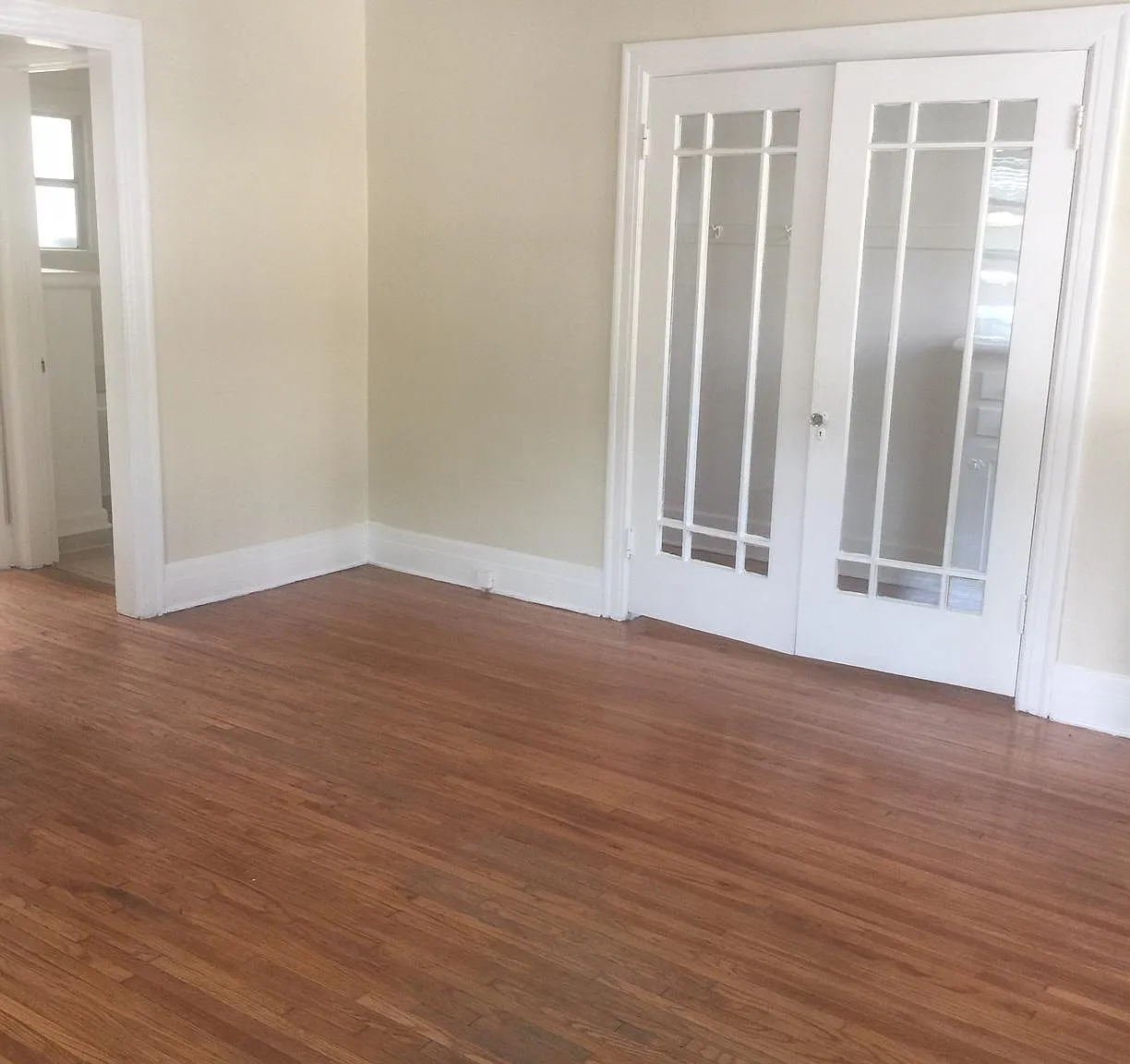 Studio, 480 sqft, $1,675 — Photo 3