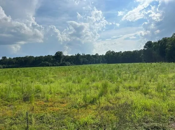 2 Seven Mile Rd, Harleyville, SC 29448