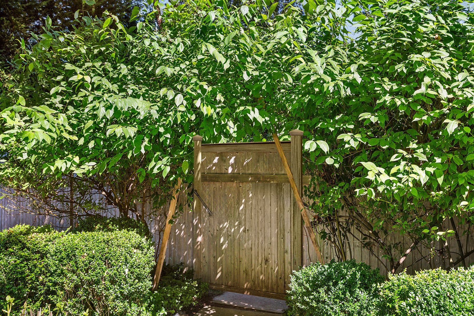 Garden Gate to Back Yard